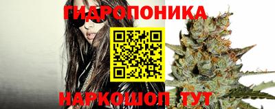 твердый Лесосибирск