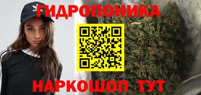 твердый Лесосибирск