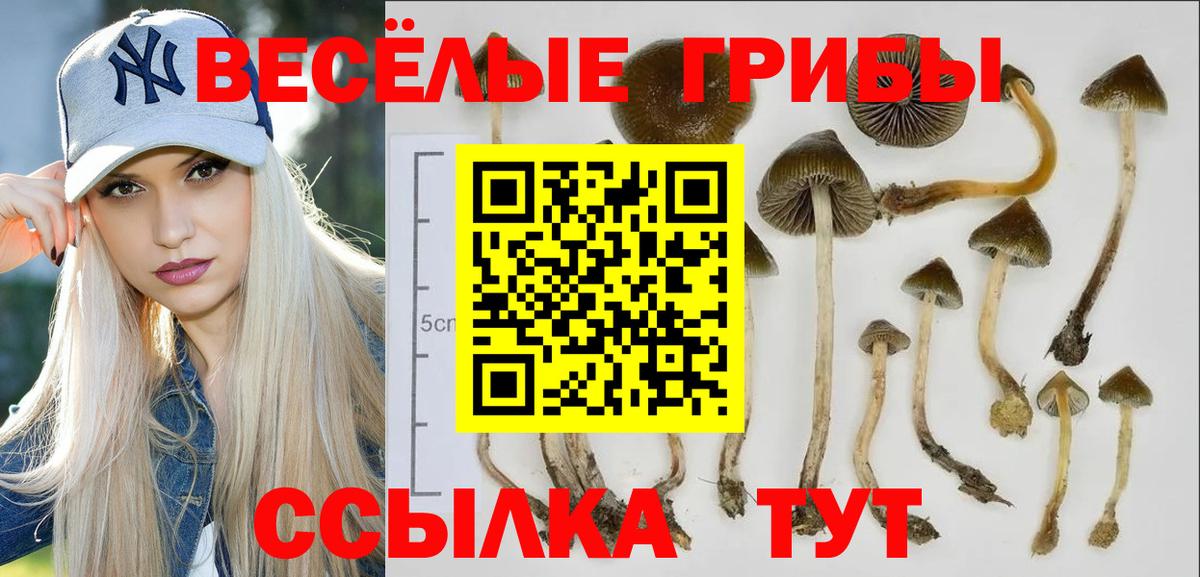 Верхняя Пышма  Псилоцибиновые грибы ЛСД  купить   Галлюциногенные грибы Cubensis  Вход с VPN 